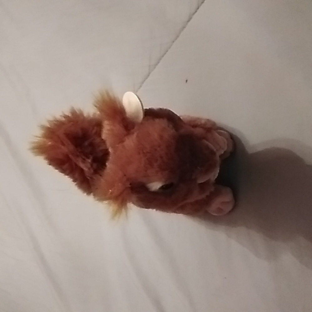 A  WWF Squirrel